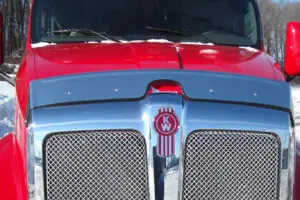 Bug Deflector MD5689