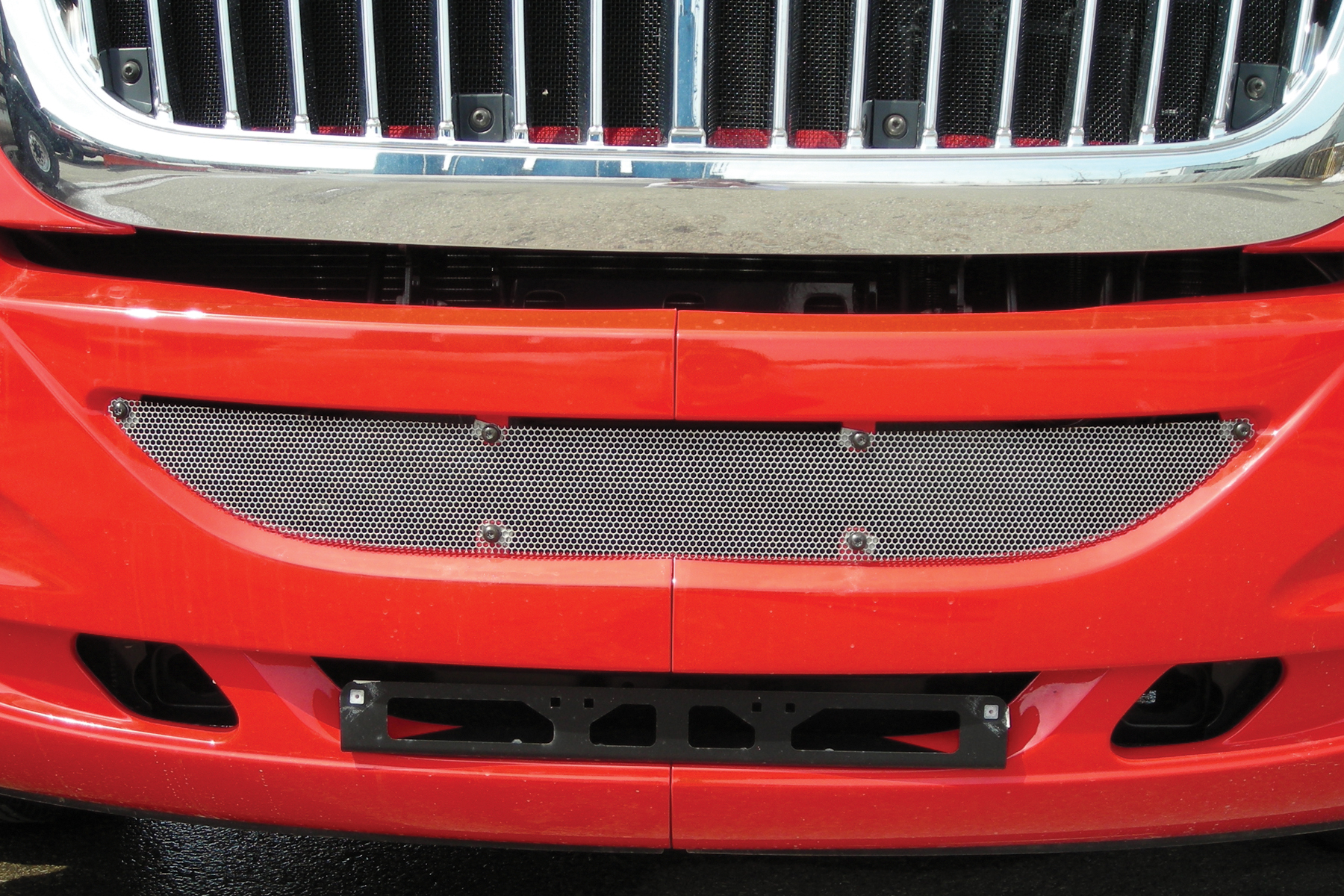 Bumper Grille Insert image