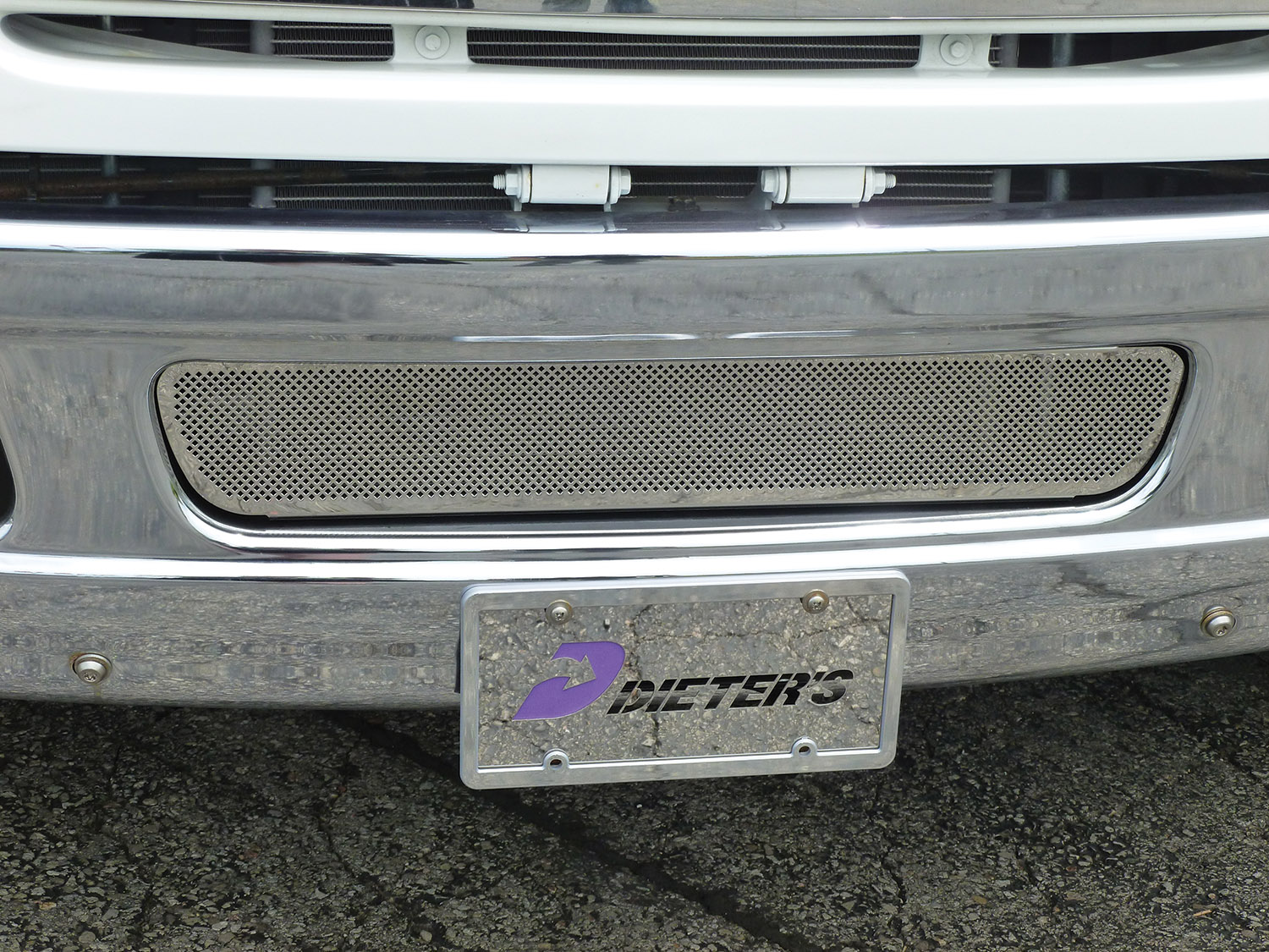 Bumper Grille Insert image