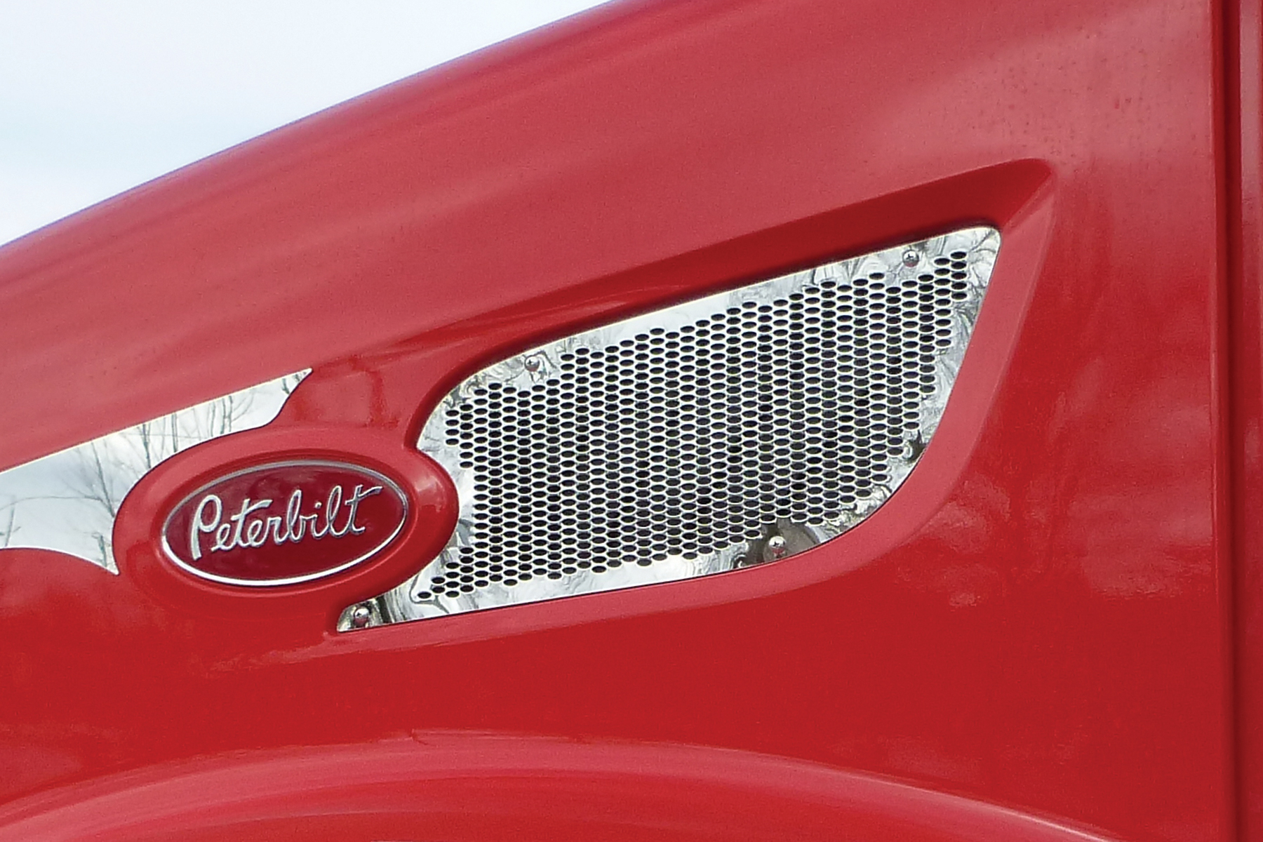 Intake Grille image