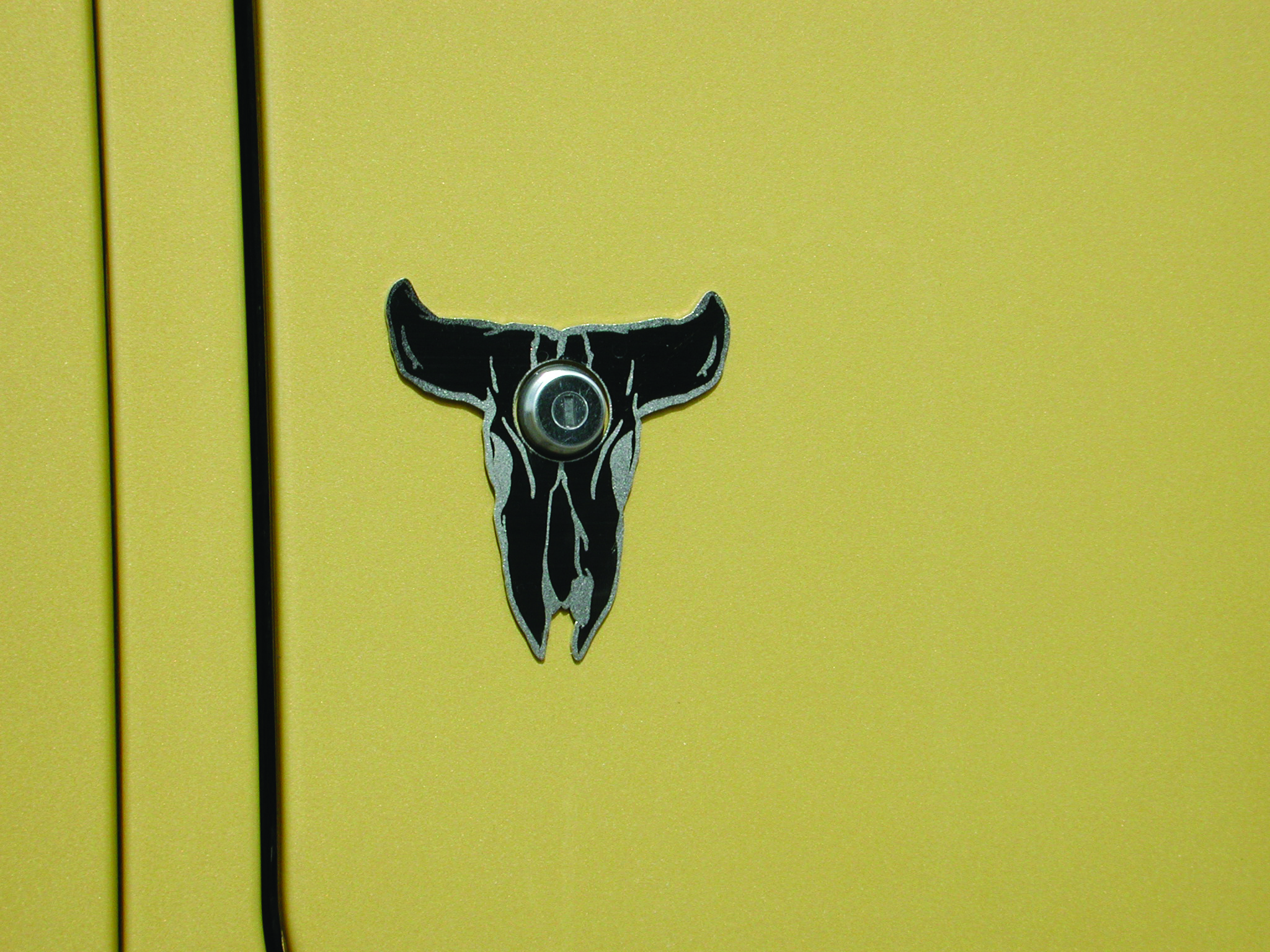 Longhorn Key Guard Accent image